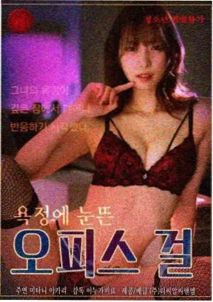 长安十二夜 电视剧 2024